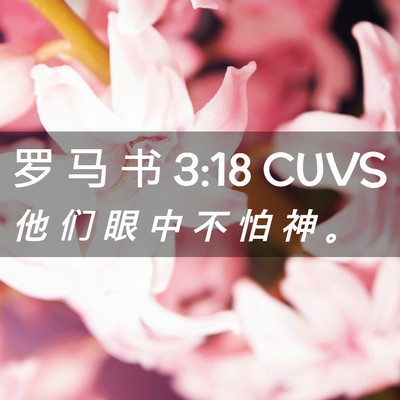 Picture 02 - 罗 马 书 3:18 CUVS - 他 们 眼 中 不 怕 神 - Bible Verse Picture