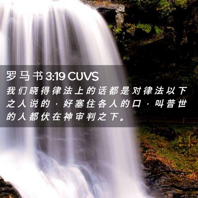 Picture 02 - 罗 马 书 3:19 CUVS - 我 们 晓 得 律 法 上 的 话 都 是 对 - Bible Verse Picture