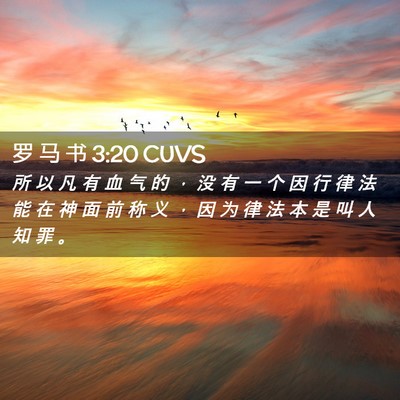Picture 02 - 罗 马 书 3:20 CUVS - 所 以 凡 有 血 气 的 ， 没 有 一 个 - Bible Verse Picture