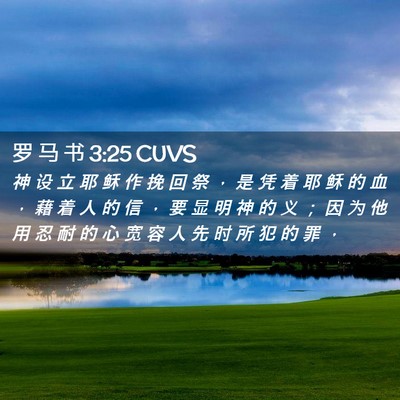 Picture 02 - 罗 马 书 3:25 CUVS - 神 设 立 耶 稣 作 挽 回 祭 ， 是 凭 - Bible Verse Picture