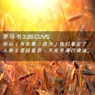 Picture 02 - 罗 马 书 3:28 CUVS - 所 以 （ 有 古 卷 ： 因 为 ） 我 们 - Bible Verse Picture