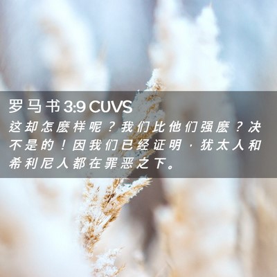 Picture 02 - 罗 马 书 3:9 CUVS - 这 却 怎 麽 样 呢 ？ 我 们 比 他 们 - Bible Verse Picture
