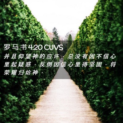Picture 02 - 罗 马 书 4:20 CUVS - 并 且 仰 望 神 的 应 许 ， 总 没 有 - Bible Verse Picture