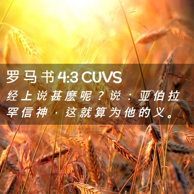 Picture 02 - 罗 马 书 4:3 CUVS - 经 上 说 甚 麽 呢 ？ 说 ： 亚 伯 拉 - Bible Verse Picture