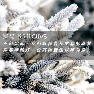 Picture 02 - 罗 马 书 5:11 CUVS - 不 但 如 此 ， 我 们 既 藉 着 我 主 - Bible Verse Picture