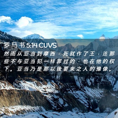 Picture 02 - 罗 马 书 5:14 CUVS - 然 而 从 亚 当 到 摩 西 ， 死 就 作 - Bible Verse Picture