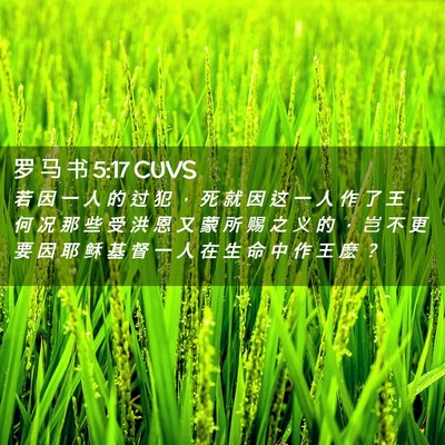 Picture 02 - 罗 马 书 5:17 CUVS - 若 因 一 人 的 过 犯 ， 死 就 因 这 - Bible Verse Picture