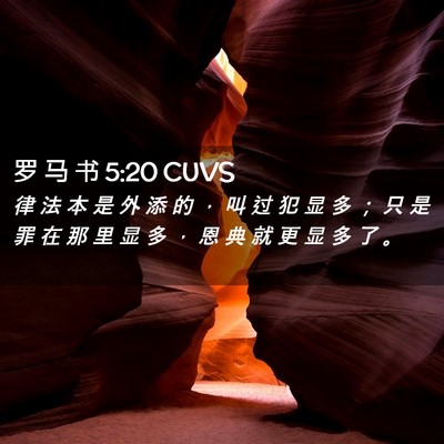 Picture 02 - 罗 马 书 5:20 CUVS - 律 法 本 是 外 添 的 ， 叫 过 犯 显 - Bible Verse Picture