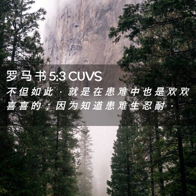 Picture 02 - 罗 马 书 5:3 CUVS - 不 但 如 此 ， 就 是 在 患 难 中 也 - Bible Verse Picture