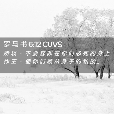 Picture 02 - 罗 马 书 6:12 CUVS - 所 以 ， 不 要 容 罪 在 你 们 必 死 - Bible Verse Picture