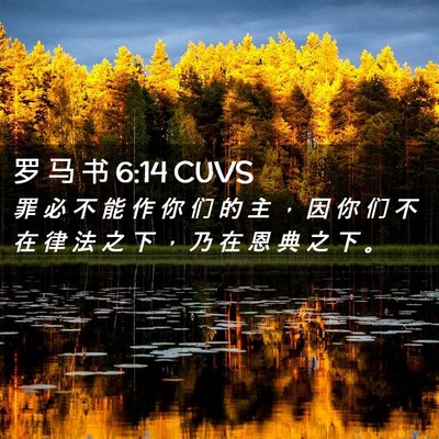 Picture 02 - 罗 马 书 6:14 CUVS - 罪 必 不 能 作 你 们 的 主 ， 因 你 - Bible Verse Picture