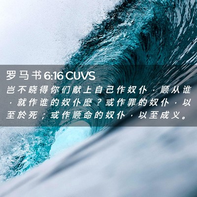 Picture 02 - 罗 马 书 6:16 CUVS - 岂 不 晓 得 你 们 献 上 自 己 作 奴 - Bible Verse Picture