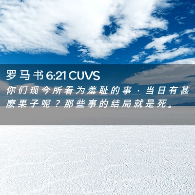Picture 02 - 罗 马 书 6:21 CUVS - 你 们 现 今 所 看 为 羞 耻 的 事 ， - Bible Verse Picture