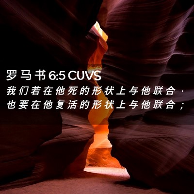Picture 02 - 罗 马 书 6:5 CUVS - 我 们 若 在 他 死 的 形 状 上 与 他 - Bible Verse Picture