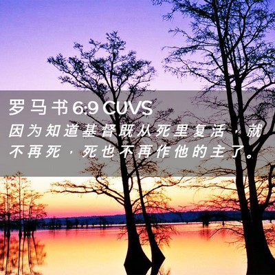 Picture 02 - 罗 马 书 6:9 CUVS - 因 为 知 道 基 督 既 从 死 里 复 活 - Bible Verse Picture