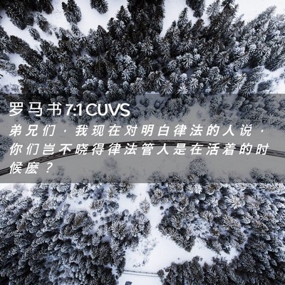 Picture 02 - 罗 马 书 7:1 CUVS - 弟 兄 们 ， 我 现 在 对 明 白 律 法 - Bible Verse Picture