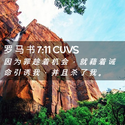 Picture 02 - 罗 马 书 7:11 CUVS - 因 为 罪 趁 着 机 会 ， 就 藉 着 诫 - Bible Verse Picture