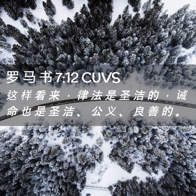 Picture 02 - 罗 马 书 7:12 CUVS - 这 样 看 来 ， 律 法 是 圣 洁 的 ， - Bible Verse Picture