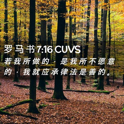 Picture 02 - 罗 马 书 7:16 CUVS - 若 我 所 做 的 ， 是 我 所 不 愿 意 - Bible Verse Picture