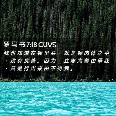 Picture 02 - 罗 马 书 7:18 CUVS - 我 也 知 道 在 我 里 头 ， 就 是 我 - Bible Verse Picture