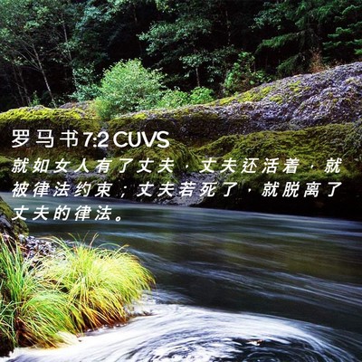 Picture 02 - 罗 马 书 7:2 CUVS - 就 如 女 人 有 了 丈 夫 ， 丈 夫 还 - Bible Verse Picture