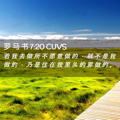 Picture 02 - 罗 马 书 7:20 CUVS - 若 我 去 做 所 不 愿 意 做 的 ， 就 - Bible Verse Picture