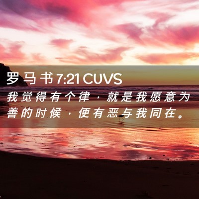 Picture 02 - 罗 马 书 7:21 CUVS - 我 觉 得 有 个 律 ， 就 是 我 愿 意 - Bible Verse Picture