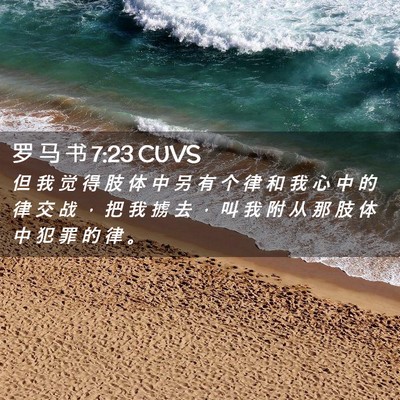 Picture 02 - 罗 马 书 7:23 CUVS - 但 我 觉 得 肢 体 中 另 有 个 律 和 - Bible Verse Picture