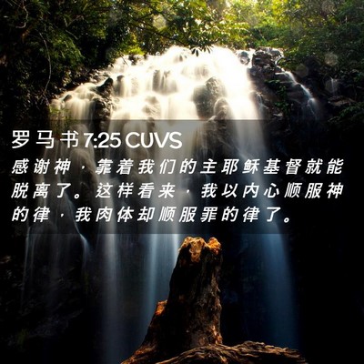 Picture 02 - 罗 马 书 7:25 CUVS - 感 谢 神 ， 靠 着 我 们 的 主 耶 稣 - Bible Verse Picture