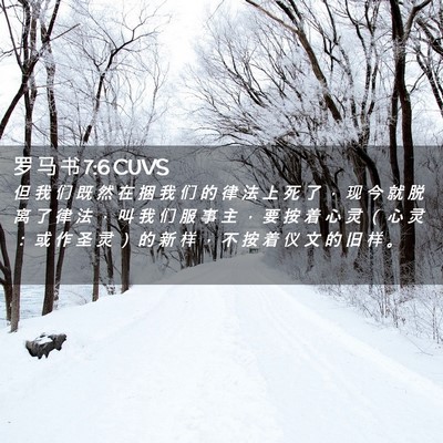 Picture 02 - 罗 马 书 7:6 CUVS - 但 我 们 既 然 在 捆 我 们 的 律 法 - Bible Verse Picture