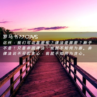Picture 02 - 罗 马 书 7:7 CUVS - 这 样 ， 我 们 可 说 甚 麽 呢 ？ 律 - Bible Verse Picture