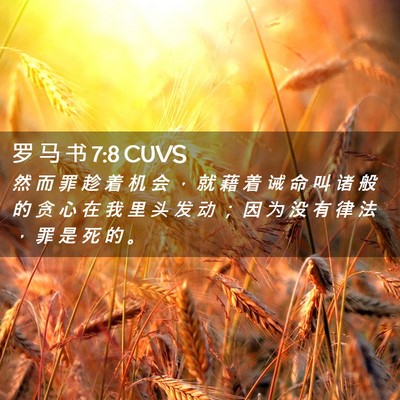 Picture 02 - 罗 马 书 7:8 CUVS - 然 而 罪 趁 着 机 会 ， 就 藉 着 诫 - Bible Verse Picture