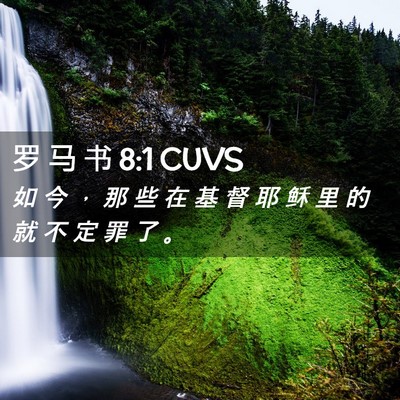 Picture 02 - 罗 马 书 8:1 CUVS - 如 今 ， 那 些 在 基 督 耶 稣 里 的 - Bible Verse Picture