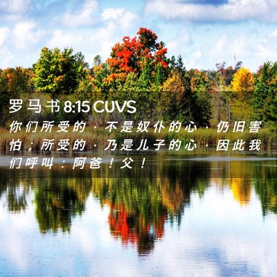 Picture 02 - 罗 马 书 8:15 CUVS - 你 们 所 受 的 ， 不 是 奴 仆 的 心 - Bible Verse Picture