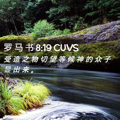 Picture 02 - 罗 马 书 8:19 CUVS - 受 造 之 物 切 望 等 候 神 的 众 子 - Bible Verse Picture
