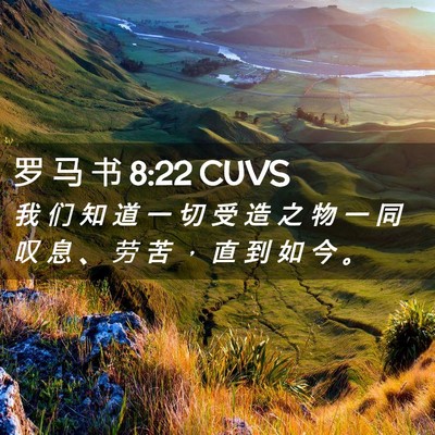 Picture 02 - 罗 马 书 8:22 CUVS - 我 们 知 道 一 切 受 造 之 物 一 同 - Bible Verse Picture