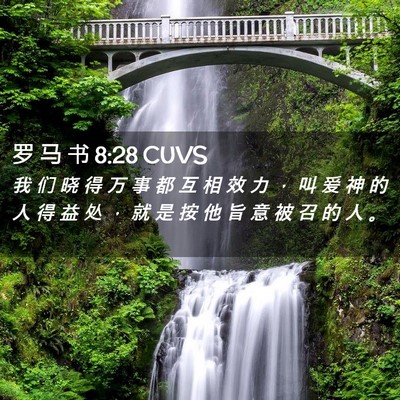 Picture 02 - 罗 马 书 8:28 CUVS - 我 们 晓 得 万 事 都 互 相 效 力 ， - Bible Verse Picture