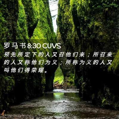 Picture 02 - 罗 马 书 8:30 CUVS - 预 先 所 定 下 的 人 又 召 他 们 来 - Bible Verse Picture