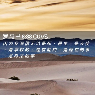 Picture 02 - 罗 马 书 8:38 CUVS - 因 为 我 深 信 无 论 是 死 ， 是 生 - Bible Verse Picture