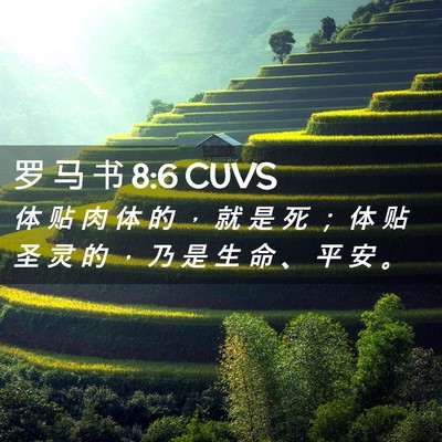 Picture 02 - 罗 马 书 8:6 CUVS - 体 贴 肉 体 的 ， 就 是 死 ； 体 贴 - Bible Verse Picture