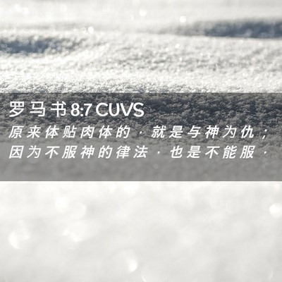 Picture 02 - 罗 马 书 8:7 CUVS - 原 来 体 贴 肉 体 的 ， 就 是 与 神 - Bible Verse Picture