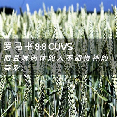 Picture 02 - 罗 马 书 8:8 CUVS - 而 且 属 肉 体 的 人 不 能 得 神 的 - Bible Verse Picture