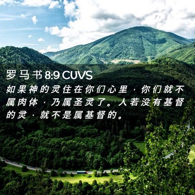 Picture 02 - 罗 马 书 8:9 CUVS - 如 果 神 的 灵 住 在 你 们 心 里 ， - Bible Verse Picture