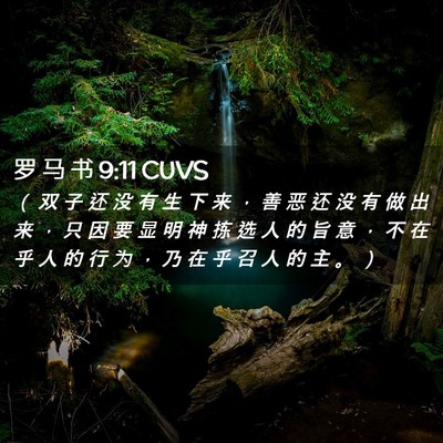 Picture 02 - 罗 马 书 9:11 CUVS - （ 双 子 还 没 有 生 下 来 ， 善 恶 - Bible Verse Picture