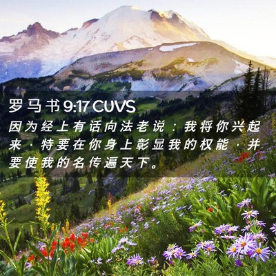 Picture 02 - 罗 马 书 9:17 CUVS - 因 为 经 上 有 话 向 法 老 说 ： 我 - Bible Verse Picture