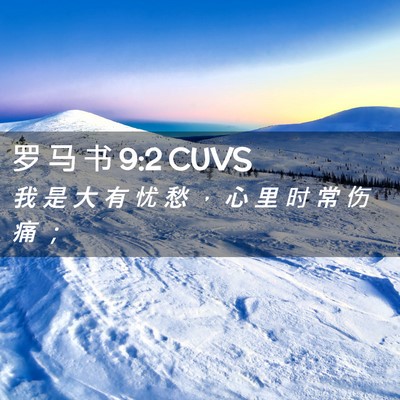 Picture 02 - 罗 马 书 9:2 CUVS - 我 是 大 有 忧 愁 ， 心 里 时 常 伤 - Bible Verse Picture