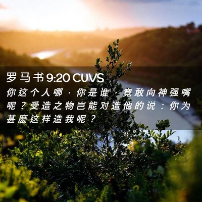 Picture 02 - 罗 马 书 9:20 CUVS - 你 这 个 人 哪 ， 你 是 谁 ， 竟 敢 - Bible Verse Picture
