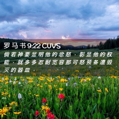 Picture 02 - 罗 马 书 9:22 CUVS - 倘 若 神 要 显 明 他 的 忿 怒 ， 彰 - Bible Verse Picture