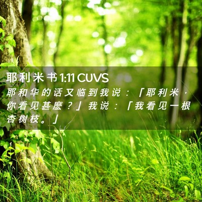 Picture 02 - 耶 利 米 书 1:11 CUVS - 耶 和 华 的 话 又 临 到 我 说 ： 「 - Bible Verse Picture