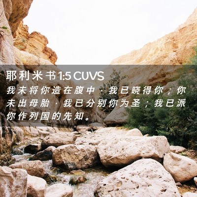 Picture 02 - 耶 利 米 书 1:5 CUVS - 我 未 将 你 造 在 腹 中 ， 我 已 晓 - Bible Verse Picture